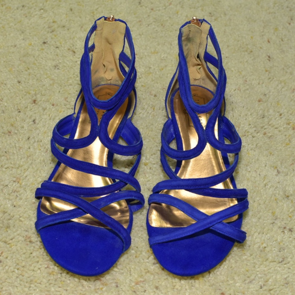 Ted Baker - Raria Blue Sandals (39.5 Eur / 8.5 US)